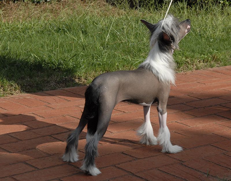 Echoes Of Laughter at N'Co.