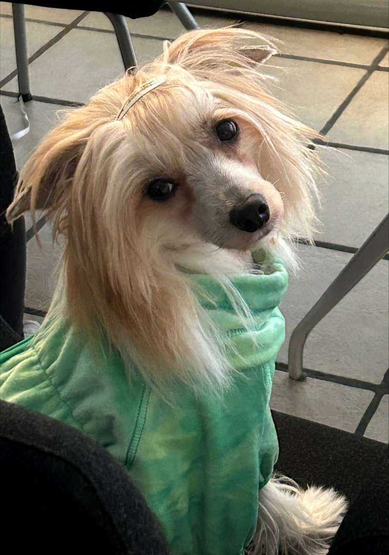 Izabel Crystals Melvin