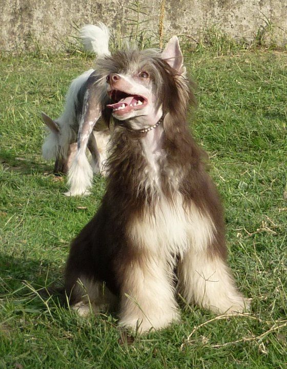 Milisenta Vorozheya at Principado De Lorena