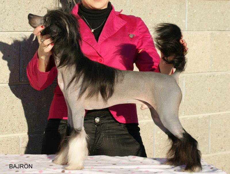 Bajron z Jastrzebiej Gory