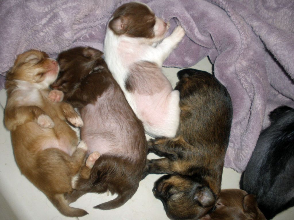 Sakkarra Flirts with all the Guys