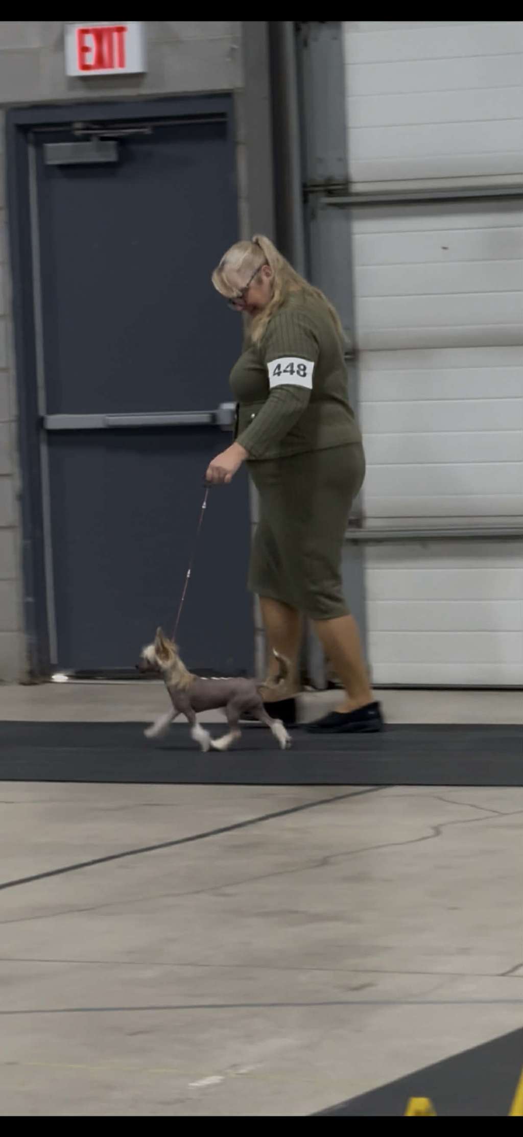 Denali's Miso Naughty