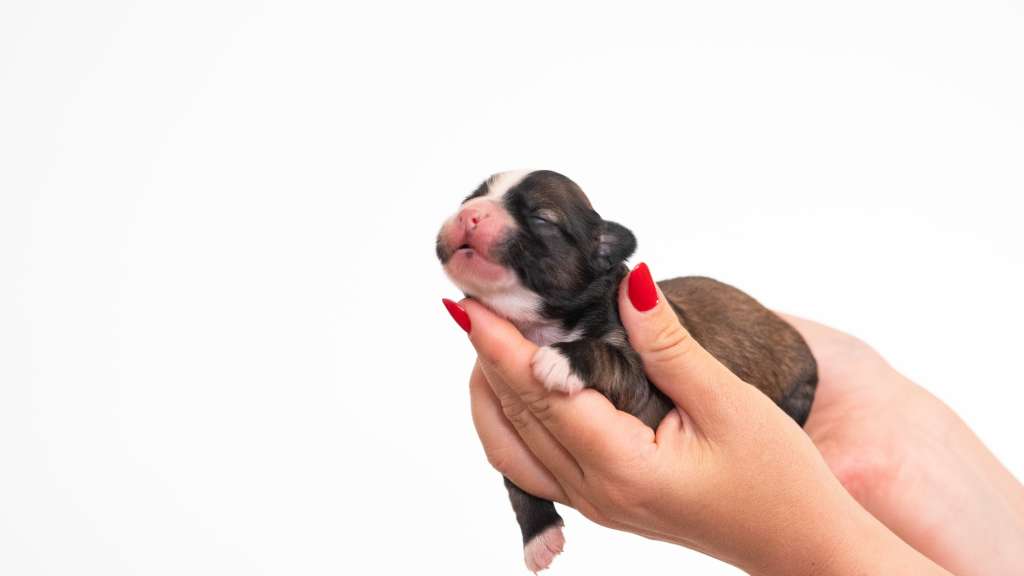 Omg I can fly Modern Family