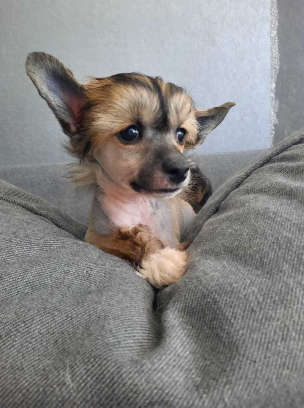 Concrete Clouds Name Dropper