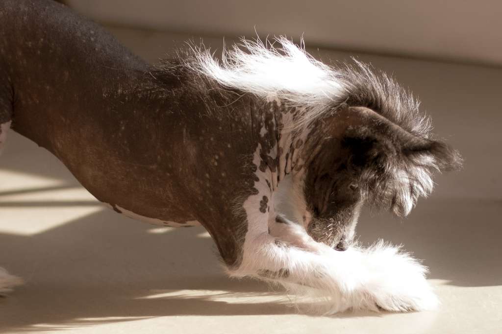 Windwater Words and Music at Ladyday