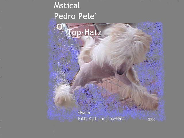 Mstical Pedro Pele' O Top Hatz