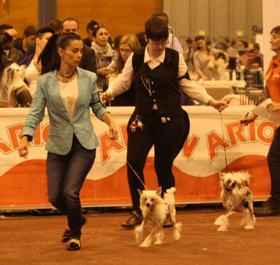 Gala de L'Essence de Mon Tout