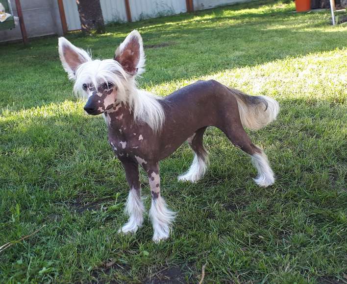 Zhestokij Angel Aleksa's House