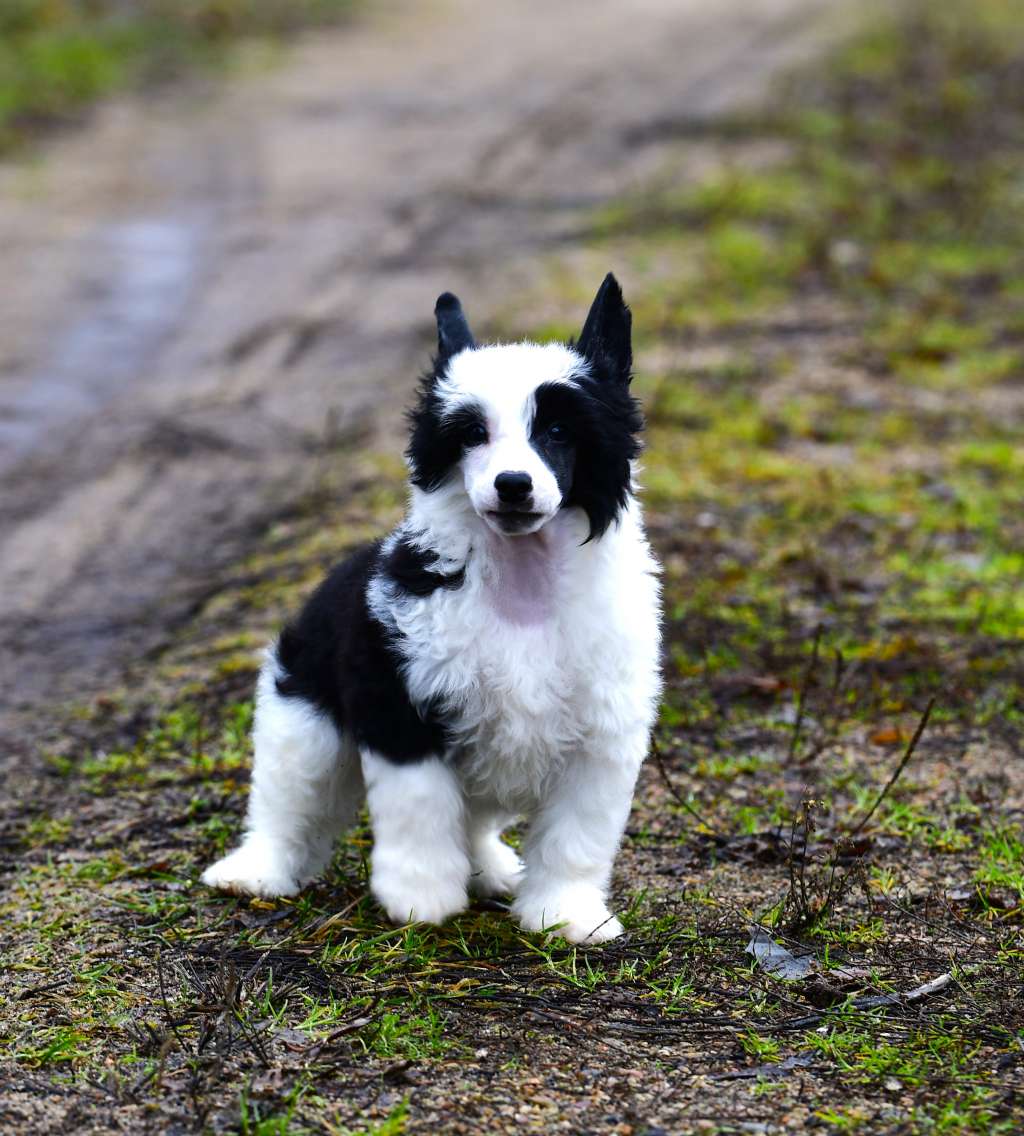 Richard Endless Kiss Winning Smile
