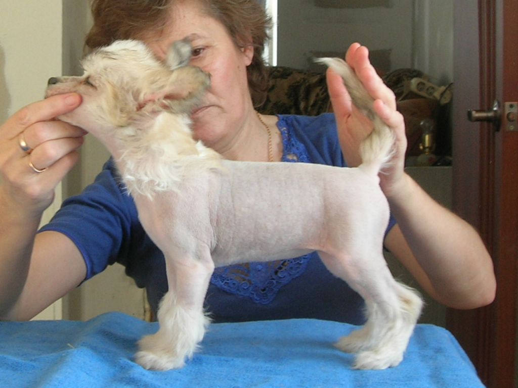 Rovanni Djekattolo Demi Lovato