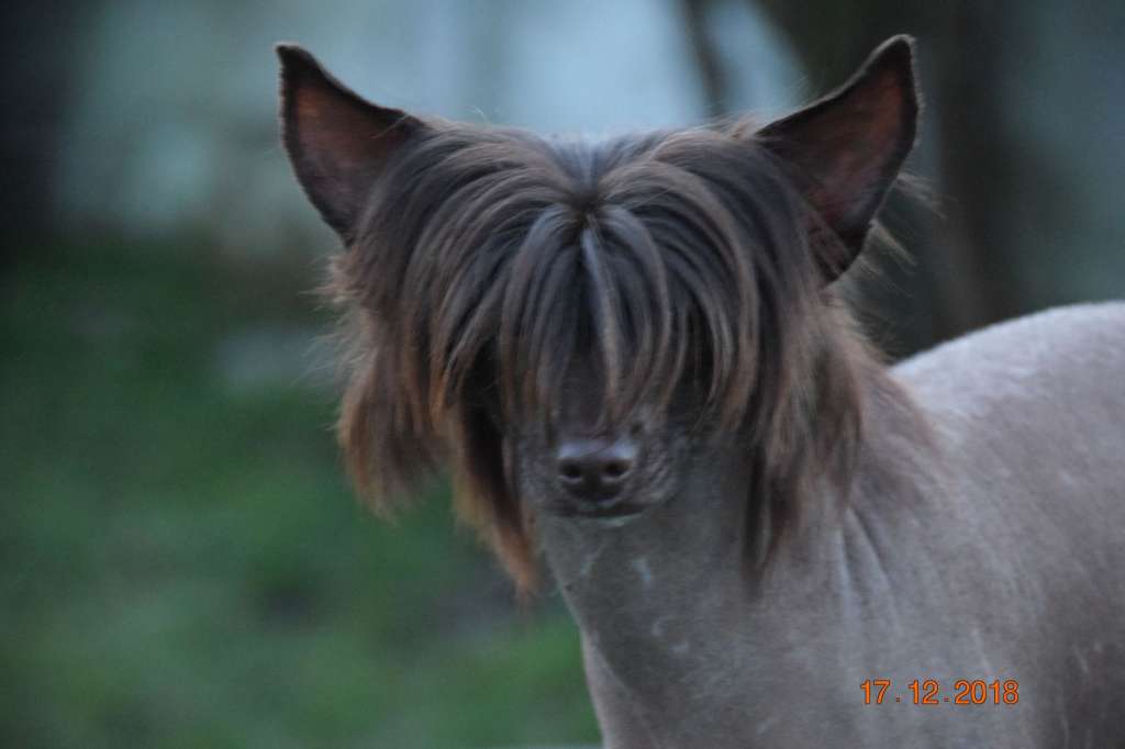 Oh la la d'azzaro Of Pastime Paradise