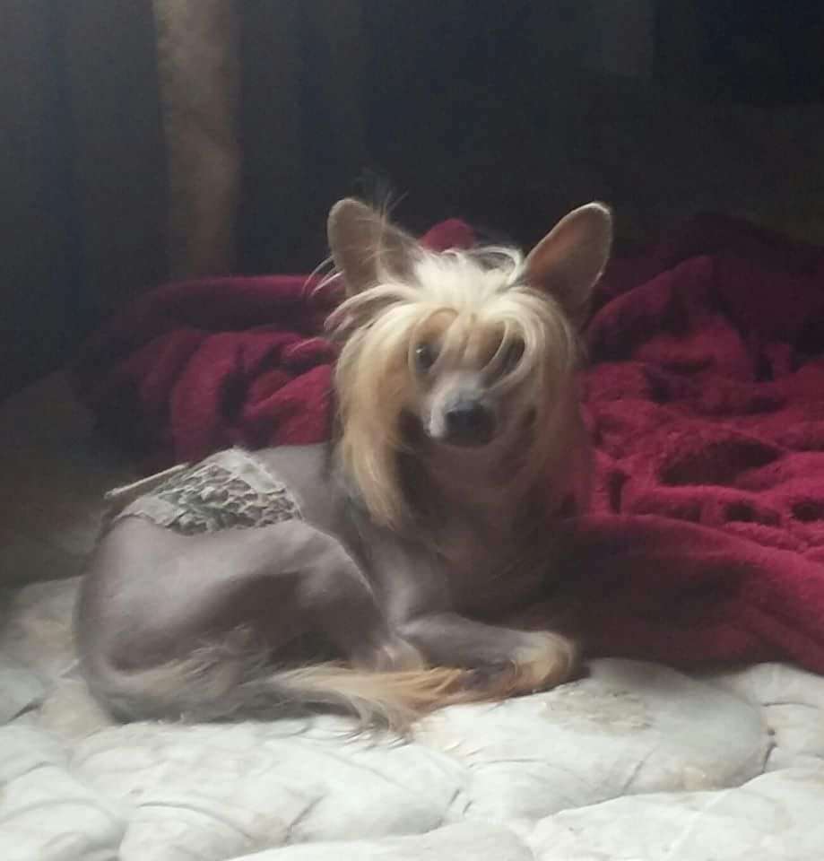 Piquin's Super Hot Too