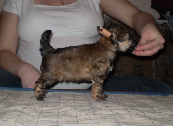 Zorrazo One In A Million