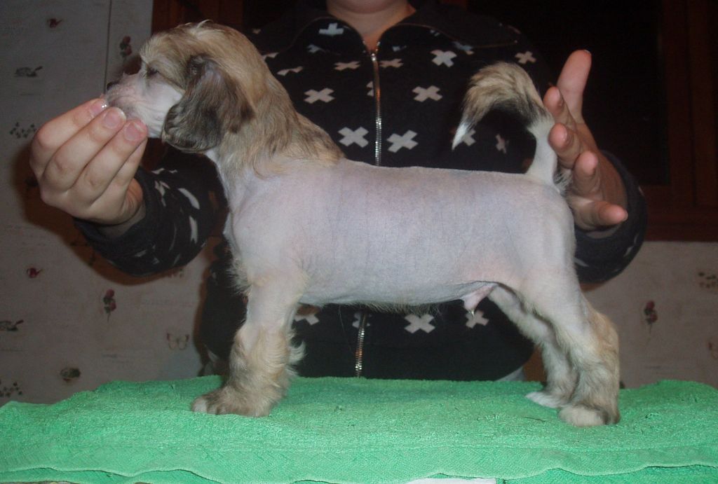 Cosplay's Takashi Hino