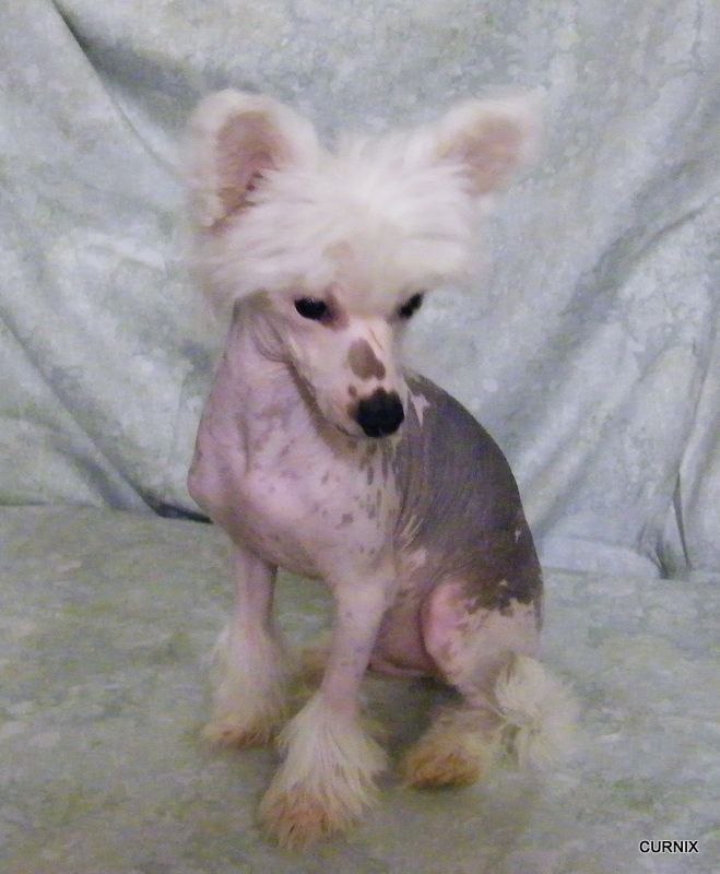 Moretonia Don't Delay