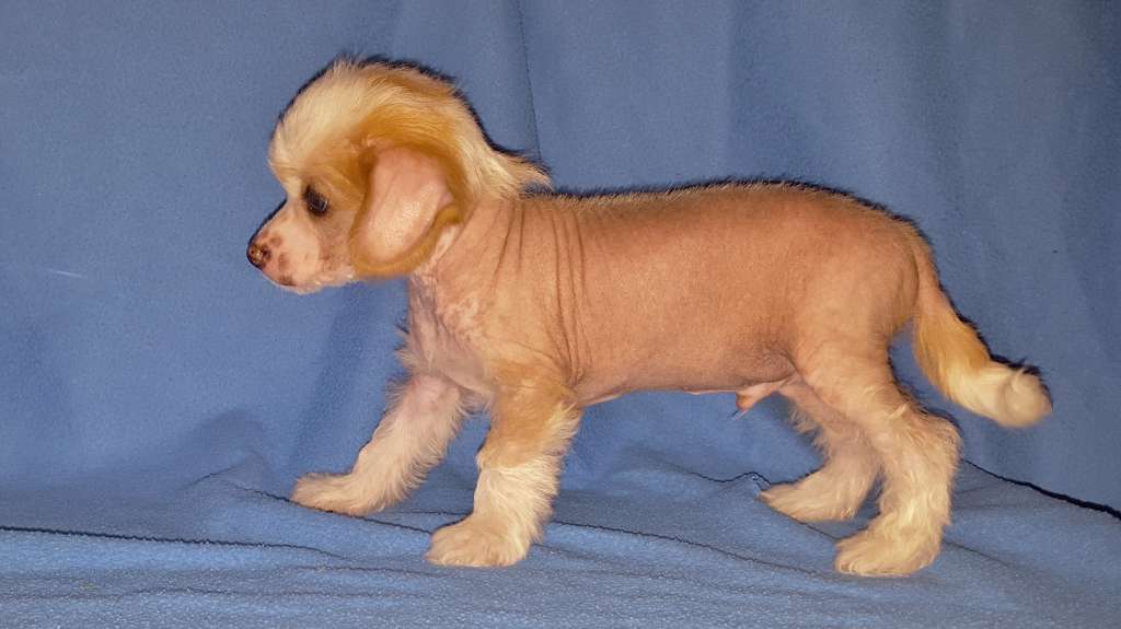 Andrakebyn's Better think twice