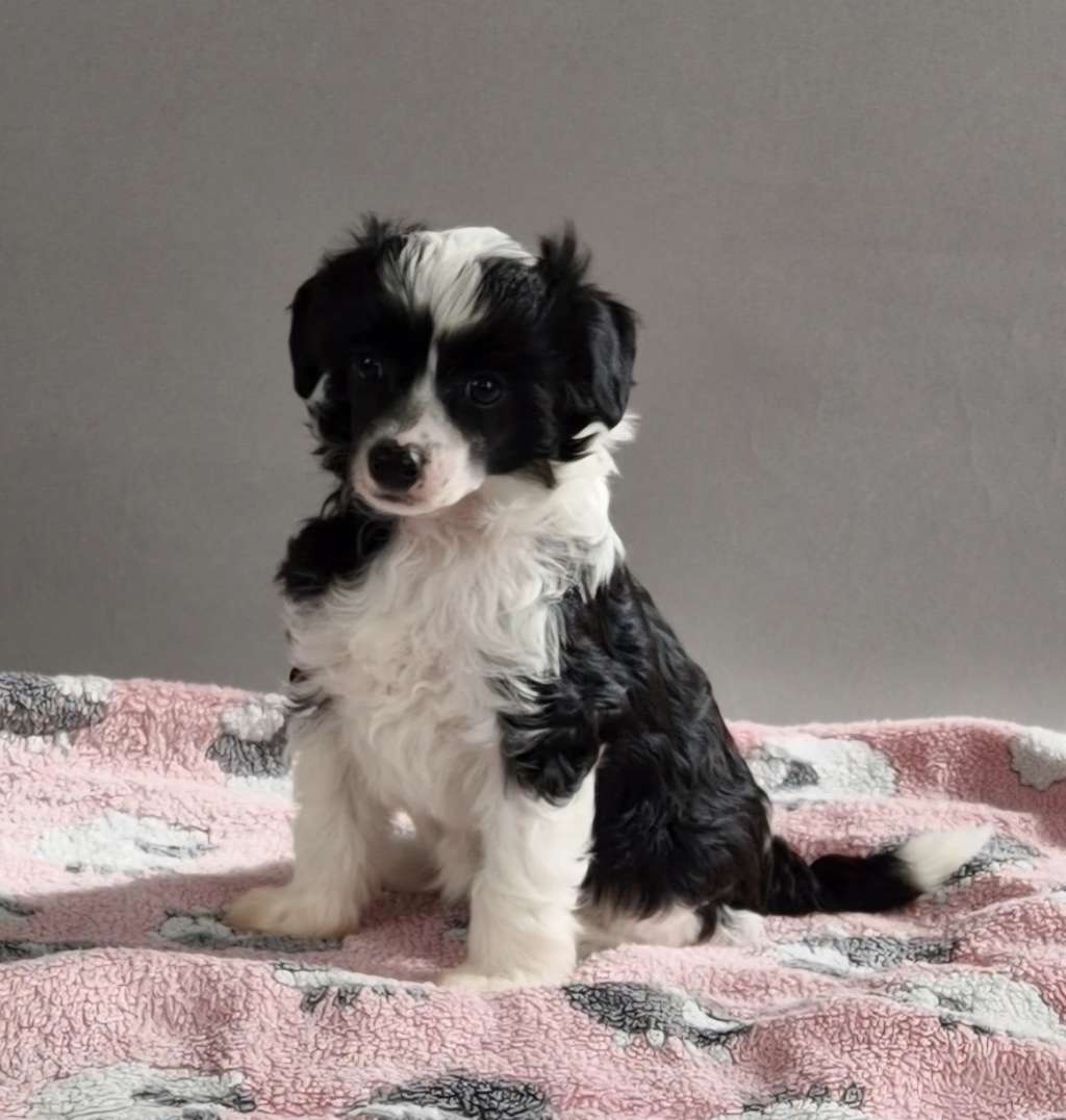 Starbucks Black Love von Natelberg