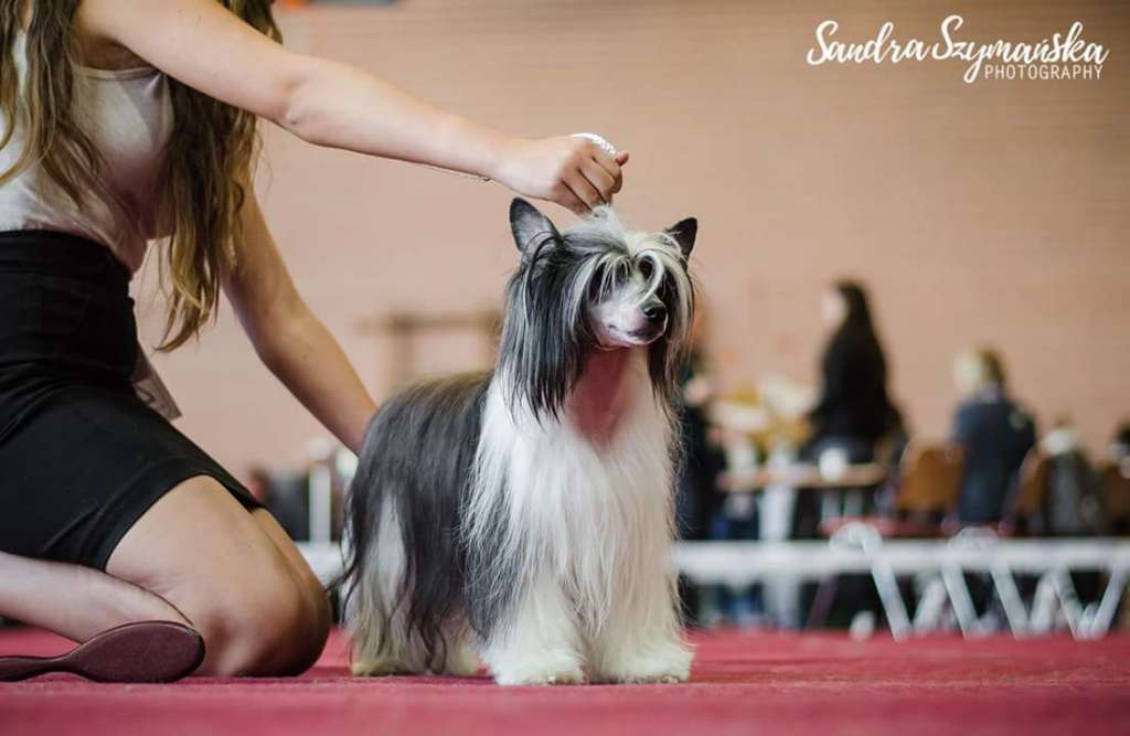 Kerrie z Jasne hvezdy