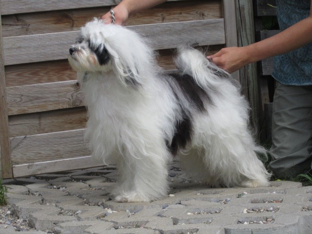 Jamie Fantasy Island