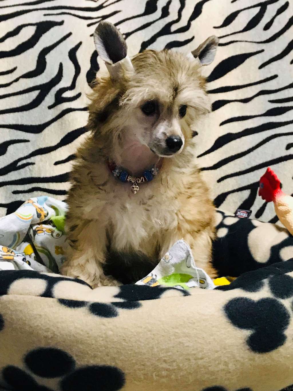 Bric Happy Funny Boy Natalexx Life