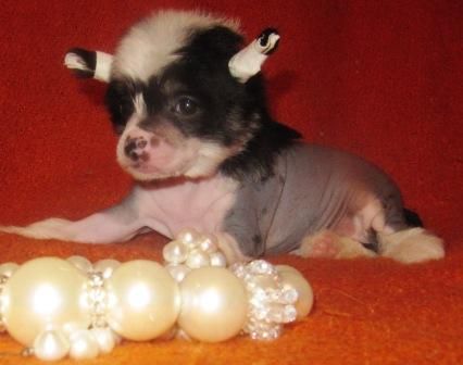 Marvellous Miracle Milana