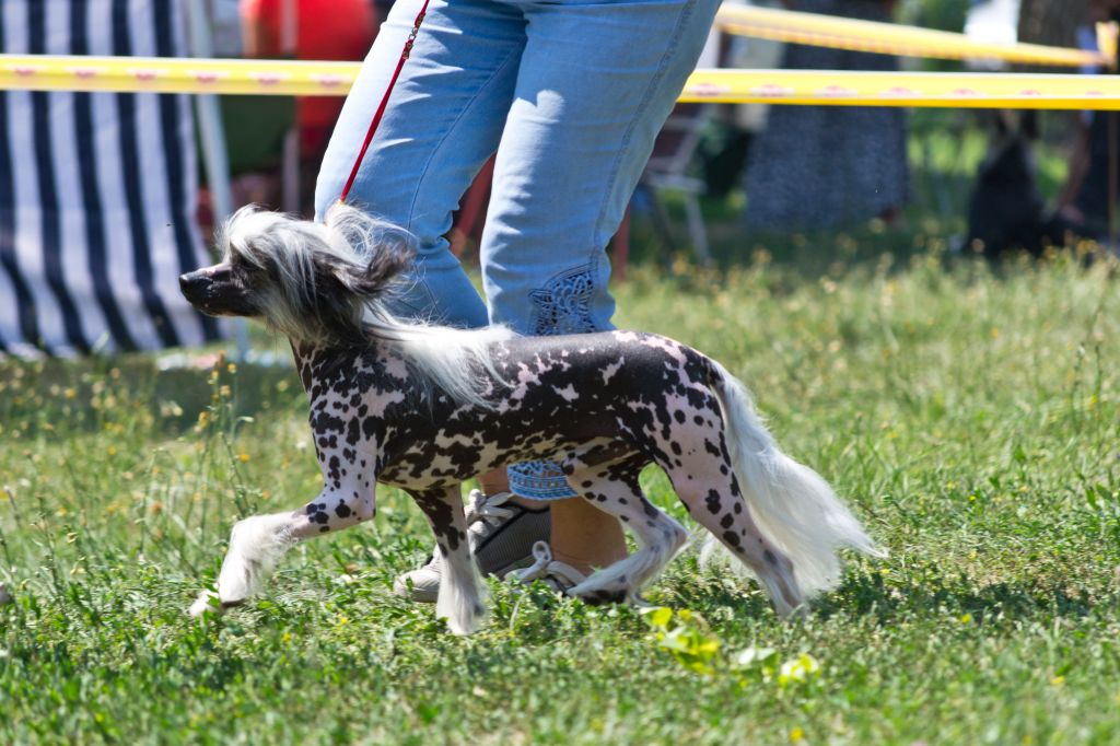 Deffer-Der ot Hohlatogo glamoura