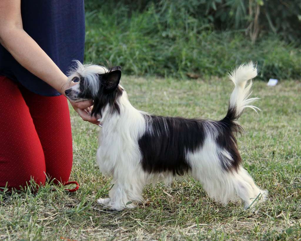 Zheneva-Debjut Vo Vsey Krase