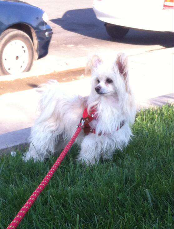 Patagonia Ranch 1 Million Dollar