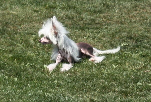 Heartbreaker from Angels Fundation