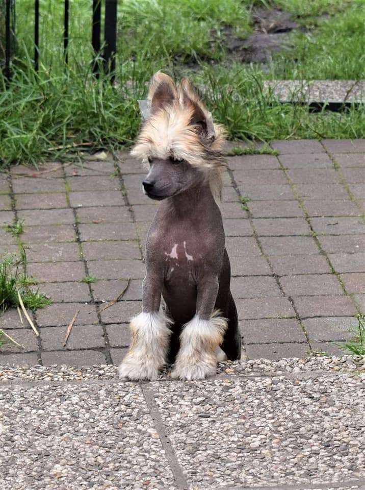 Il était une fois Uoshi Bao