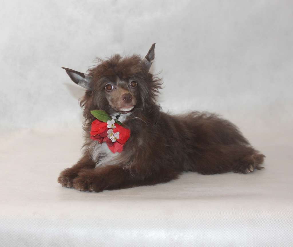 Vernisazh Mari Kerry