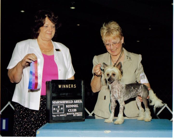 EZA's Minnie Go Round