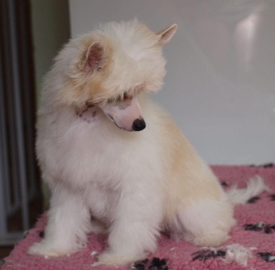 Tizzy Candy likes Coffee