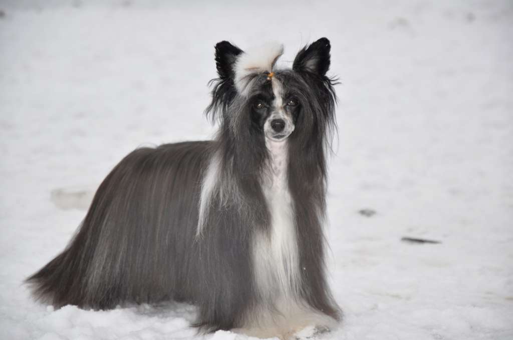 Beautiful Zola  Winning Smile