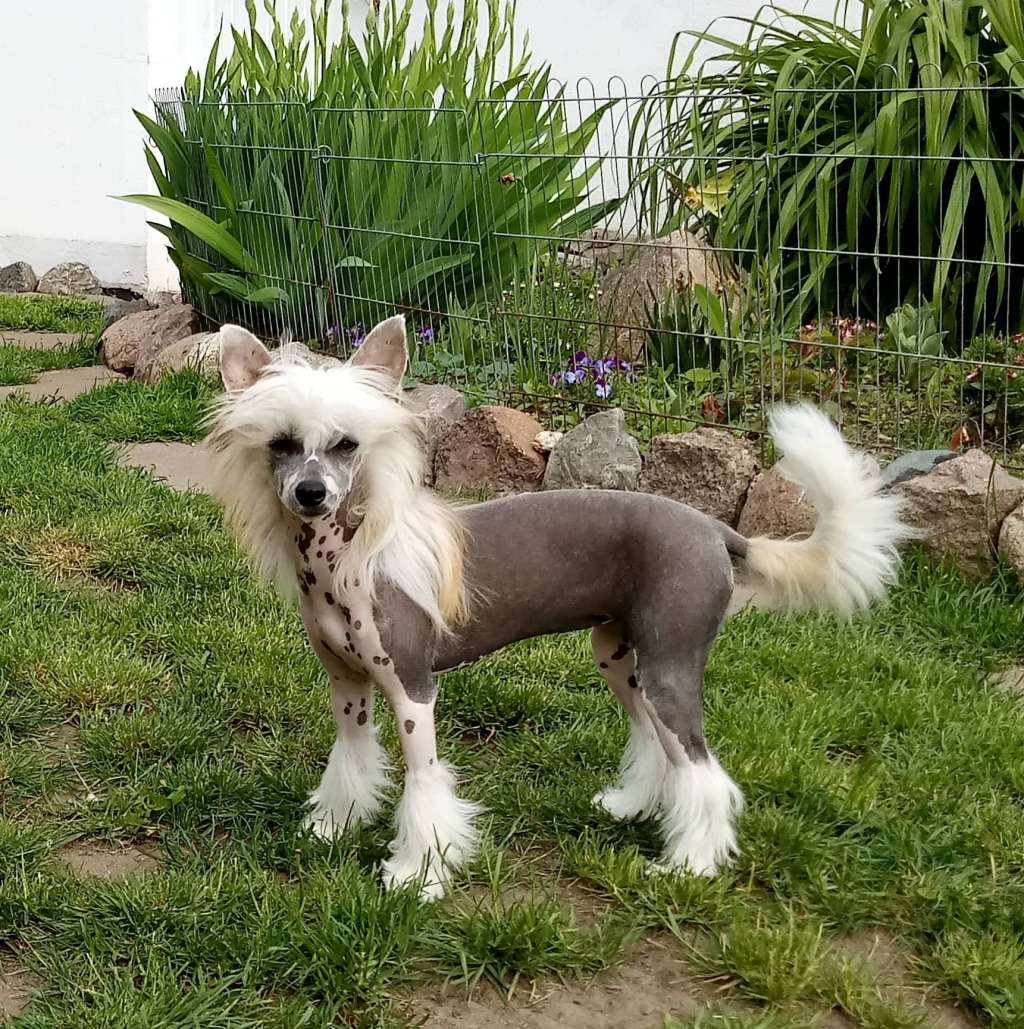 Trinity Winning Smile