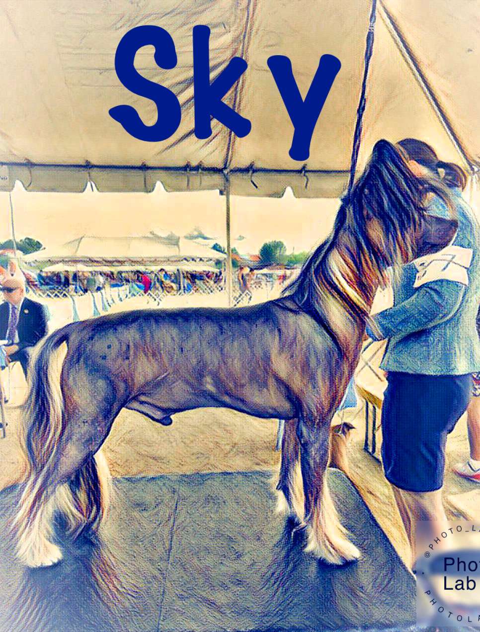 Stars at Sea Tornado