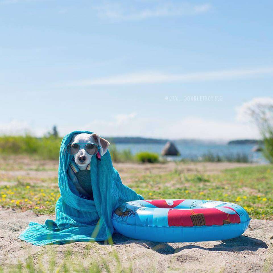 Tapi-Tapi Glamour Dictator