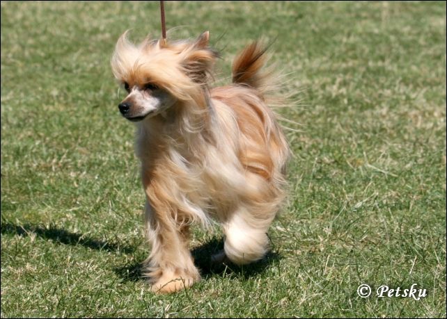 Naomi  z  Gangu  Lysych