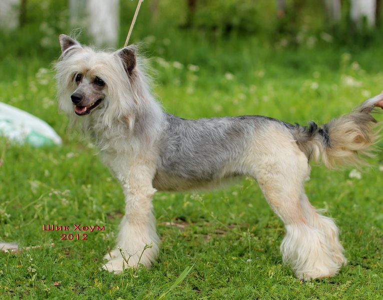 Kristal Yaniry Remember The Time