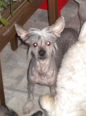 Yrar New Ways To Dream