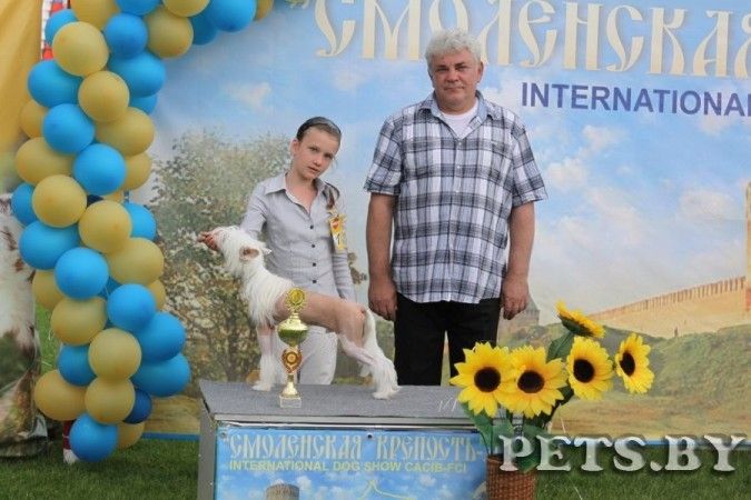 Dariy Prince Almires