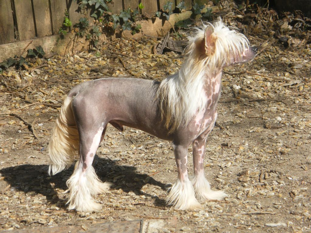 Epiphany Eat My Dust