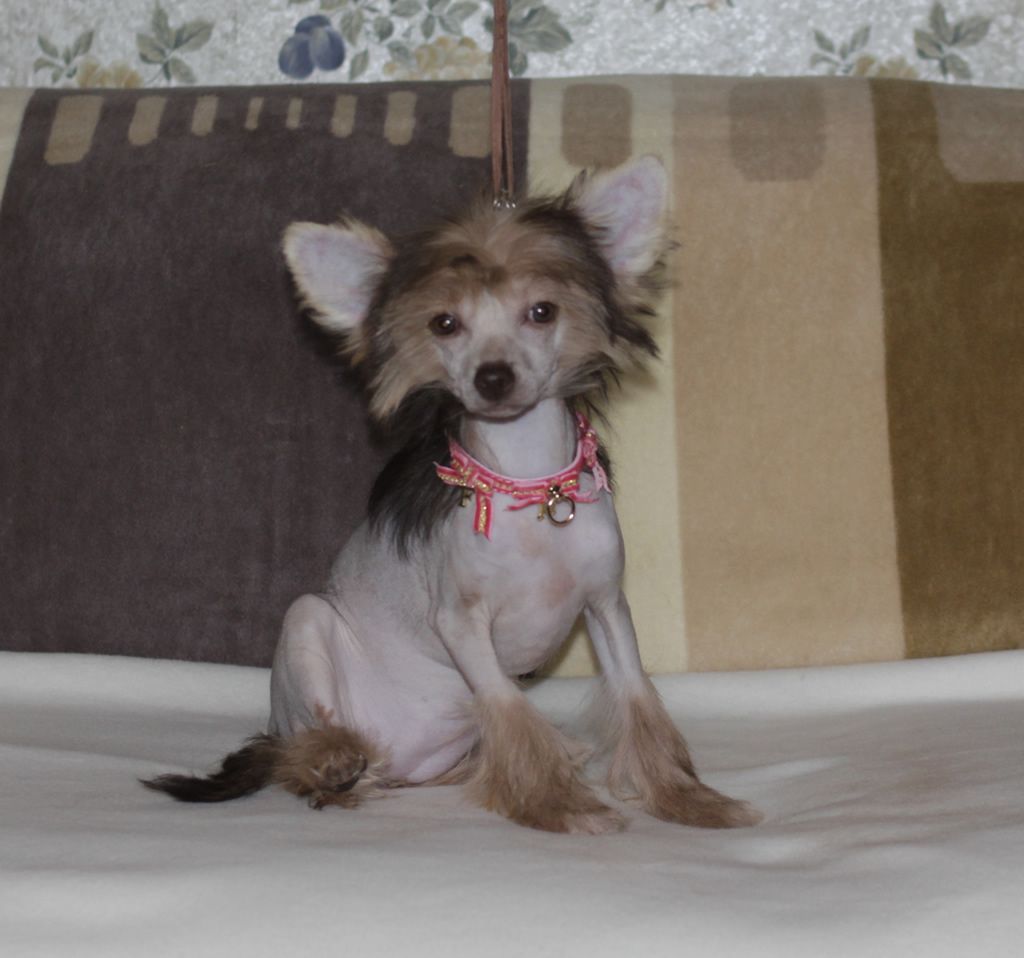 Vernisazh Mari Di Fiori