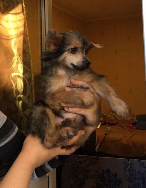 Bingwa's Blossom Egerry