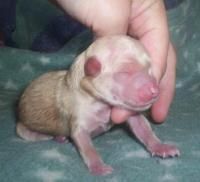 Daybreak Storm Of The Century