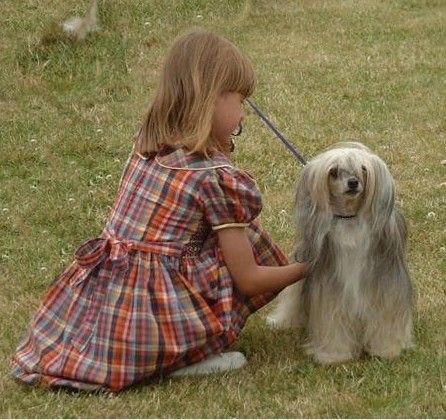 Yorcrechi Orange Blossom