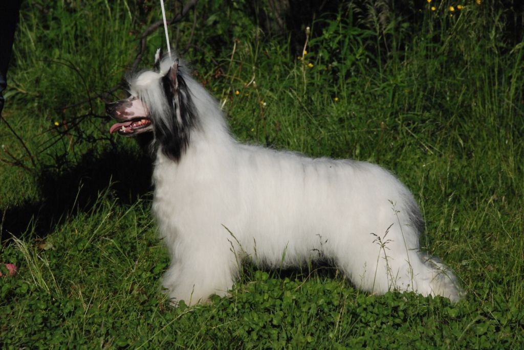 Sun-Hee's Come To the Cabaret