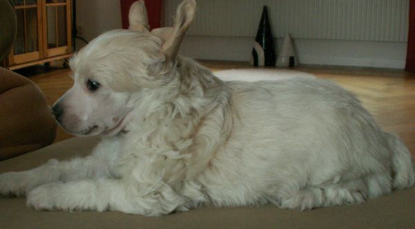 Beauty of XLNZ One you never forget