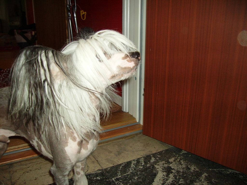 Marachinos Gidde Palema