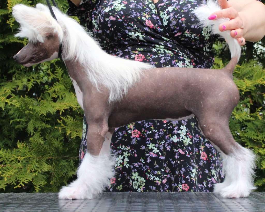 Jamming's Interstellar